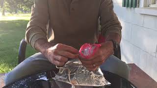 This Is How To Keep Flies Out Of Your House All Year