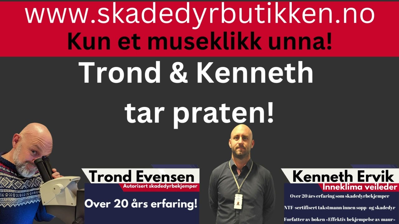 Omniveo2 - LED - Elektrisk insektfanger Fluegrill, fluefanger, elektriske insektsfangere