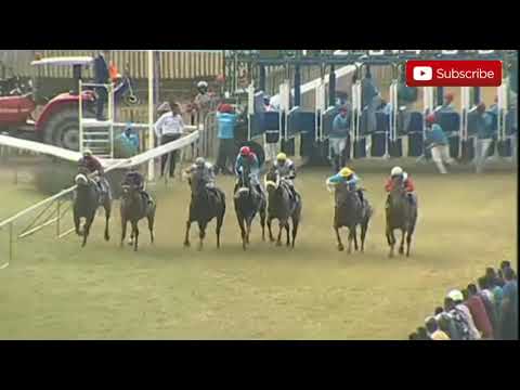 5 DEC 2020| SWAN DUKE OF YORK CUP| BLACK CAT BACK| A. AUCHARUZ