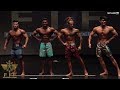 FIF Mortal Battle Pro/Am 2019 - Men's Beach Model (Pro Class)