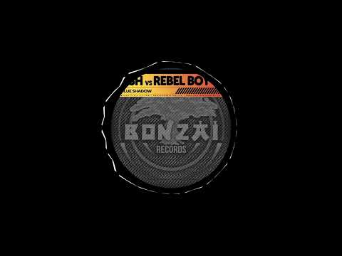Push vs Rebel Boy - RD Mode (Original Mix)