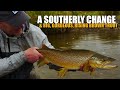 A Southerly Change & Big, Gorgeous, Rising Brown Trout