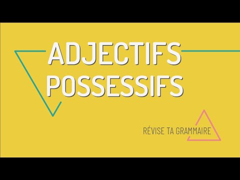 Révise ta grammaire : les adjectifs possessifs en français