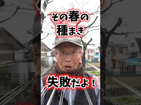  3月の菜園には何を植えますか？春の最初の月に好む野菜は何ですか?  庭園