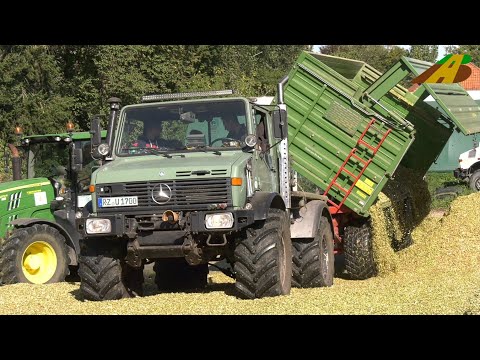 Maisernte 2020 - 3x Mercedes Unimog Agrar - Maishäckseln Bullenfutter - german farmers truck harvest