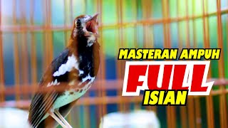 Download lagu ANIS KEMBANG NGEROL FULL ISIAN, cocok untuk MASTERAN ANIS KEMBANG MUDA dan BAHAN AGAR CEPAT GACOR mp3