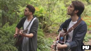 WOLF AND WILLOW | Chase the Sun