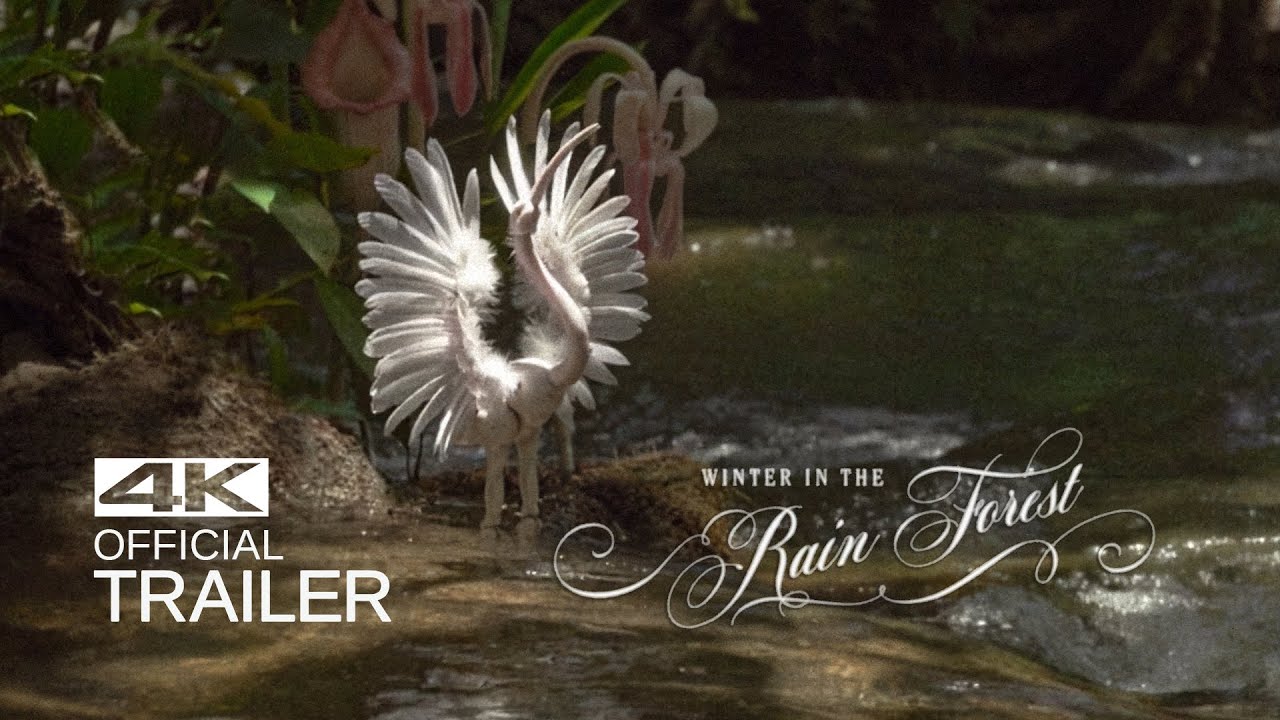 WINTER IN THE RAINFOREST Trailer (2019)