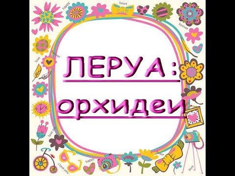 ЗАВОЗ прекрасных ОРХИДЕЙ в ЛЕРУА:трилипс,БигЛипы,15.08.20,ТЦ"Космопорт",Самара.