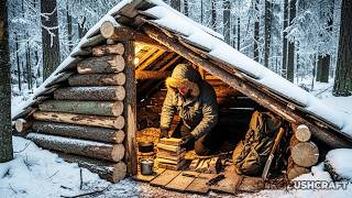 Download the video "How I Survived a Freezing Night in the Snow – Winter Bushcraft Adventure"