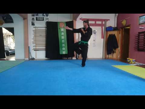 Goshinkan Ninjutsu - Hicho no kamae