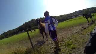 Lithuania - Norway (Asa - Stenungsund)