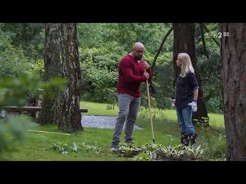 "M jak miłość" – "Byłeś kiedyś w ciąży?" – scena z odc. 1465