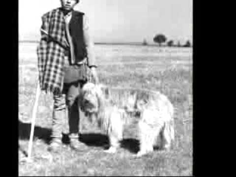 savvaļas kliegšana dejas