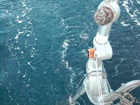 Windpilot Windvane Working in the Bahamas