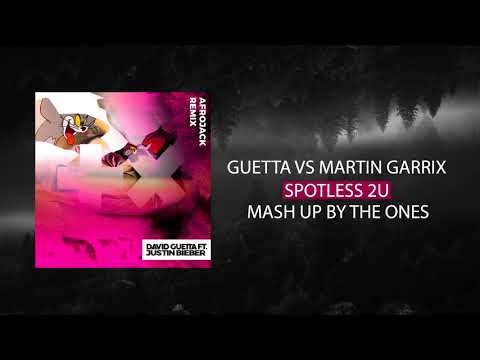 David Guetta, Afrojack, Justin Bieber vs Martin Garrix & Jay Hardway - Spotless 2U (The Ones MashUp)