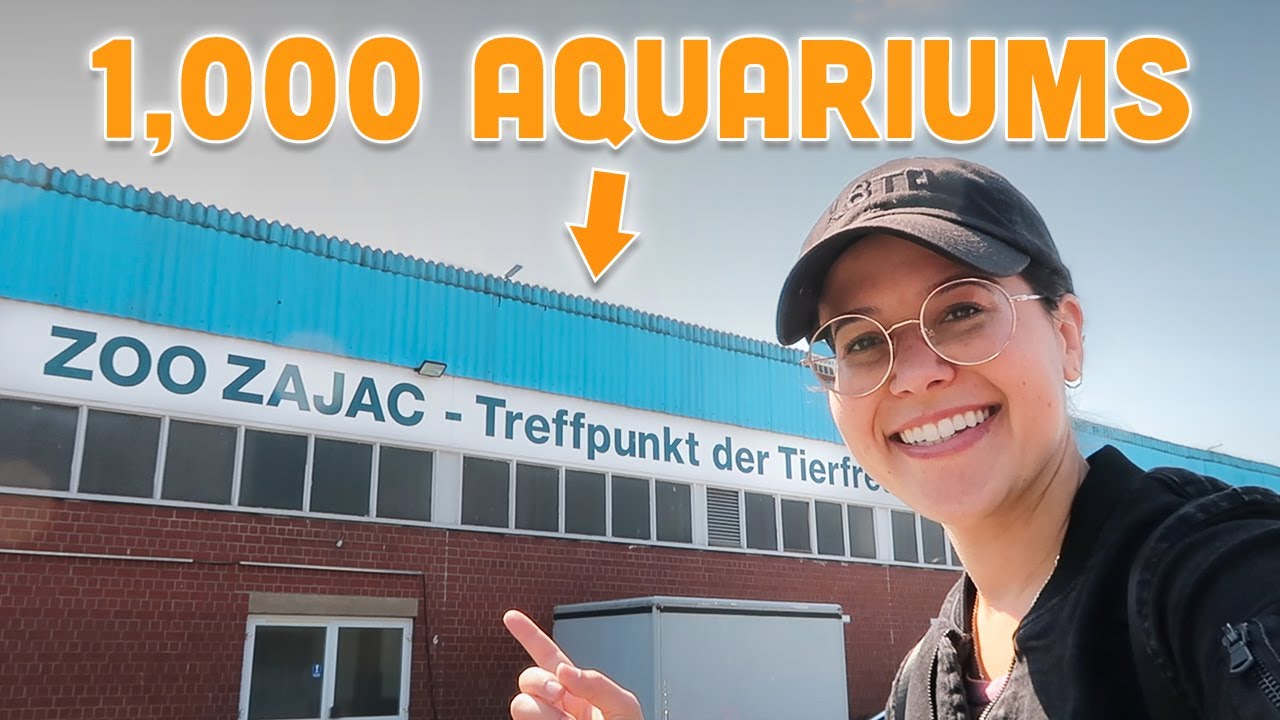 Where is the largest pet store in the world? Tipseri