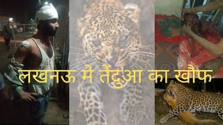 lucknow'leopard |कल्याणपुर में तेंदुए का आतंक|GROUND REPORT||BOL VCHAN|| video