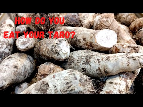 How To Prep and Cook Taro