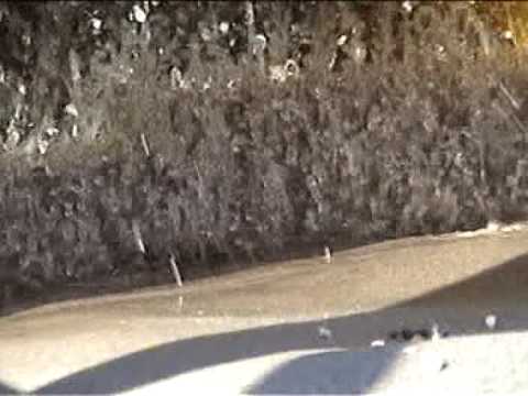 Evowash fines recovery sand plant