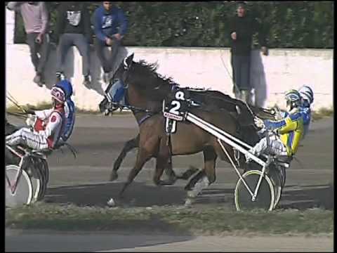 Trotto 07/01/2016 - 2° corsa