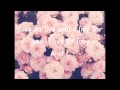 Your love by Daithi De Nogla Lyrics 