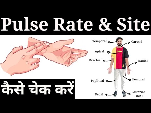Pulse Kaise Check Kare || 9 Pulse Site in Hindi || Pulse Assessment
