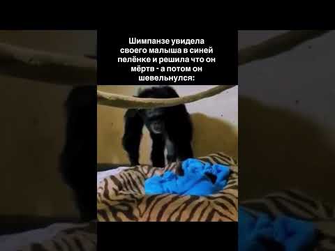 Не дышал. Не двигался. Его сразу унесли. Мать осталась одна…⬇️