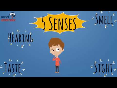 Disquisition vs thesis 07 picture