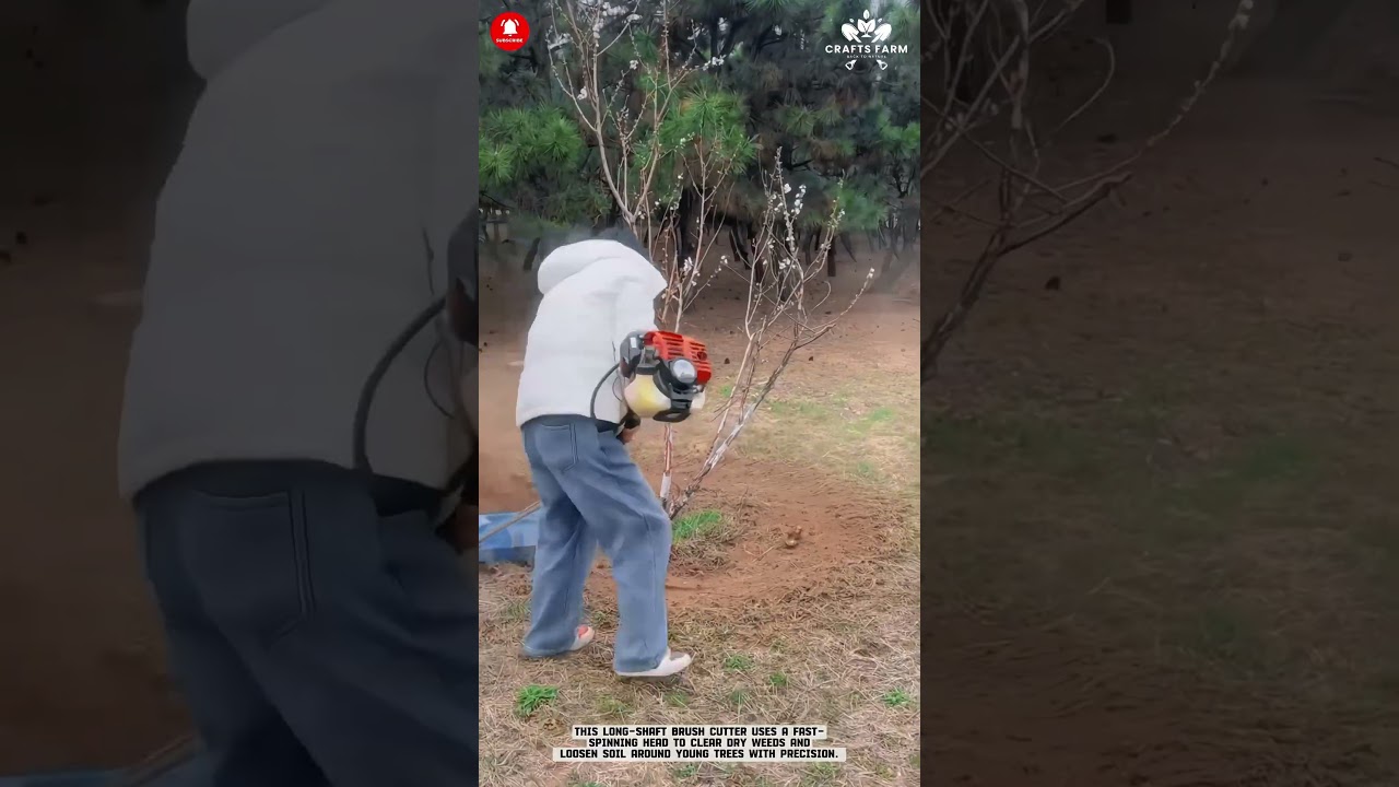 미니 파워 틸러: 나무 밑동 주변 정밀 토양 경작