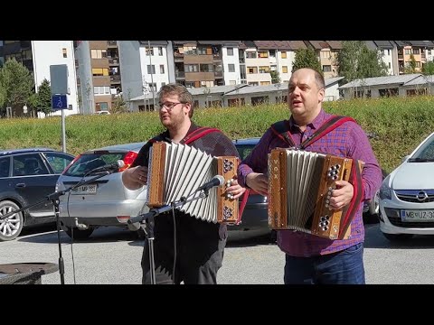 Rok Švab in Martin Juhart, Modrijani in Poskočni- Ajda na polju, Čebelar, Na Golici (Modrijani DOMA)