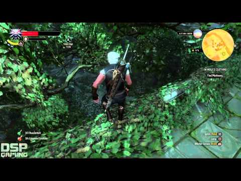 The Witcher 3 (PS4) playthrough pt125 - Insanely Long Monster Hunt Begins