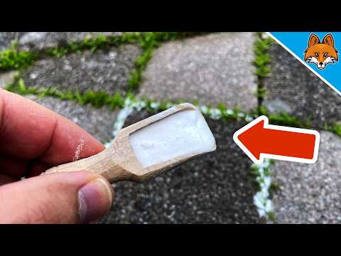 Grannarna blev förvånade över hur jag tar bort mitt ogräs💥(Genialt trick)🤯