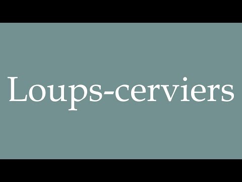 How to Pronounce ''Loups-cerviers'' (Wolfhounds) Correctly in French