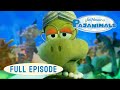 Pajanimals The Wonderfully Different Squacky A Laugh A Minute Jim Henson Family Hub