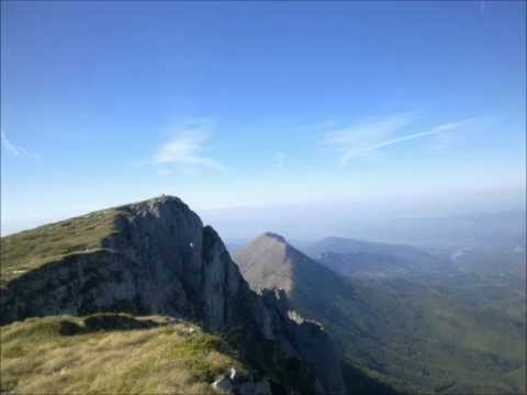 Cathy Davey - Holy Moly.wmv