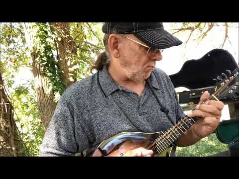 Mandolin Solo You Never Can Tell