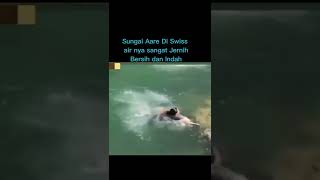 Download lagu hati-hati berenang disungai yang deras arusnya #shorts  #sungai #arusderas #swiss mp3