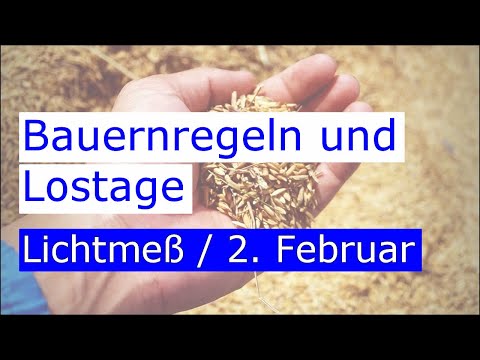 Bauernregeln zum 2. Februar - Lostag Lichtmess