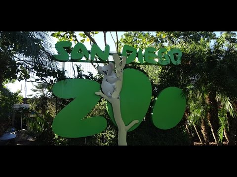Зоопарк в Сан Диего San-Diego ZOO