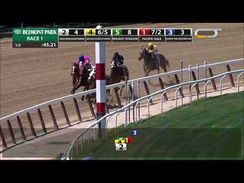 Heavenhasmynikki - 2019 - The Vagrancy Handicap en Espanol