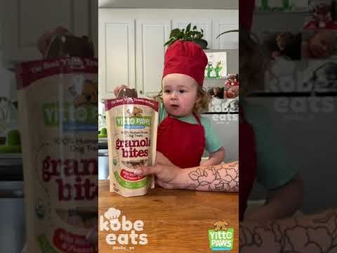 CHEF KOBE MAKES YITTO DOG TREATS