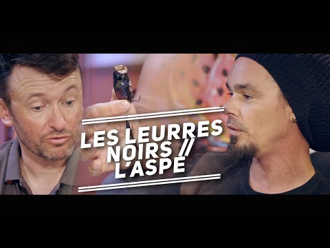 LES LEURRES NOIRS // L'ASPE 🐟Fishing Club EP21🐟