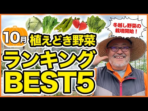 10月にどの野菜を植えるか カレンダー キャベツをいつ植えるか 品種は何ですか