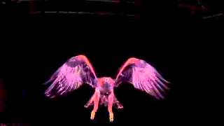 Julian Casablancas+The Voidz - Where No Eagles Fly (lyric video)