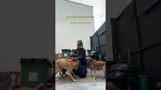 Ahhh esse reencontro foi muito esperado! 🫶🏻 que saudade que eu estava das minhas filhuxas 🥹🌹