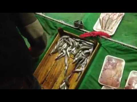 Звуци и гледки от Истанбул.