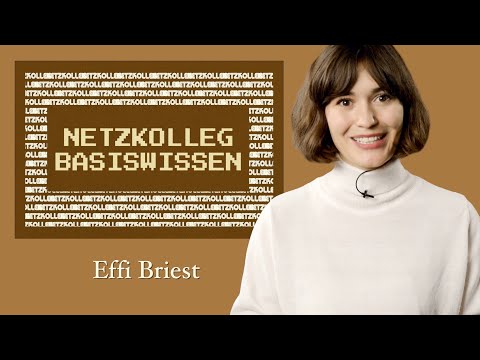 Netzkolleg Basiswissen – Effi Briest (Grundlagen der Literaturwissenschaft - Abiturvorbereitung)