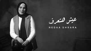 Nedaa Shrara - Eish Ha Taaraf [Official Lyric Video] (2025) / نداء شرارة - عيش هتعرف