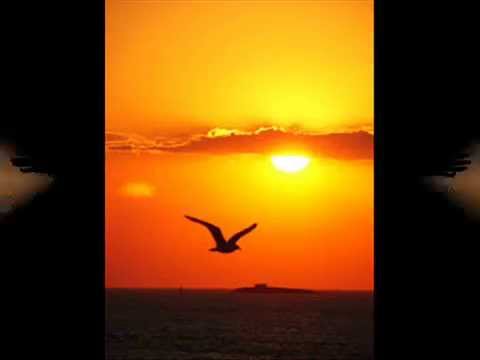 Vratio sam se živote - Kemal Monteno